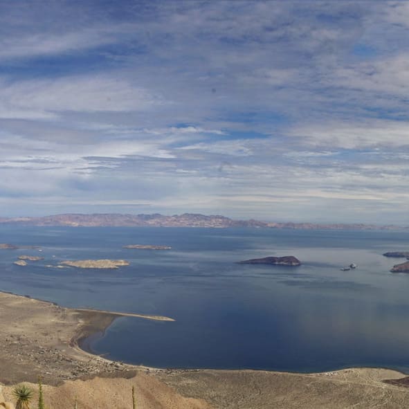 Gozar de la Bahía de los Ángeles